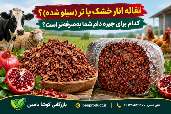تفاله انار