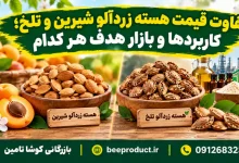 هسته زردآلو
