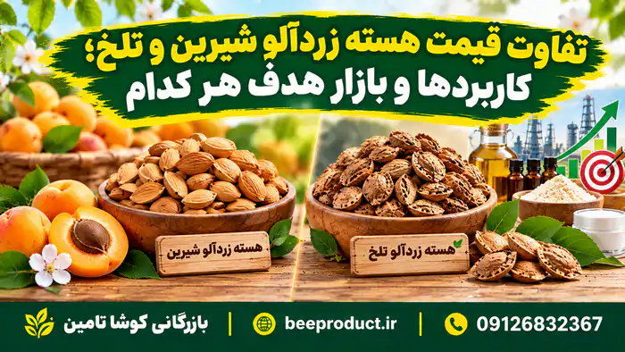 هسته زردآلو