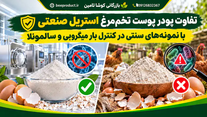 خرید پوست تخم مرغ