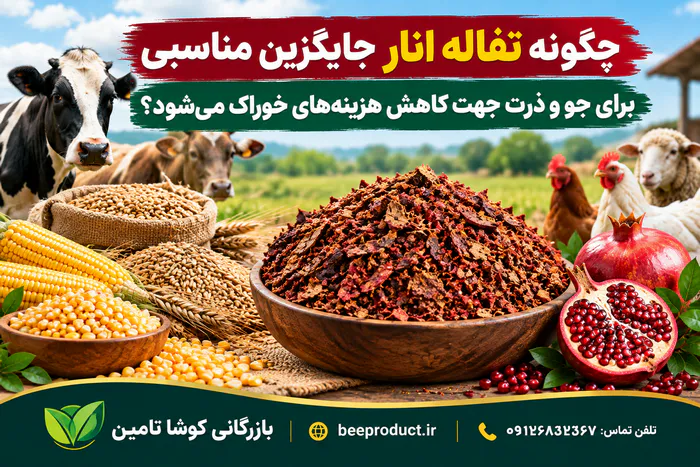 تفاله انار