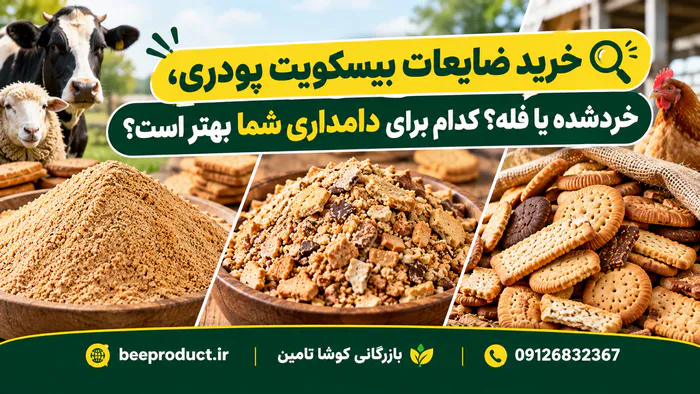 ضایعات بیسکوییت