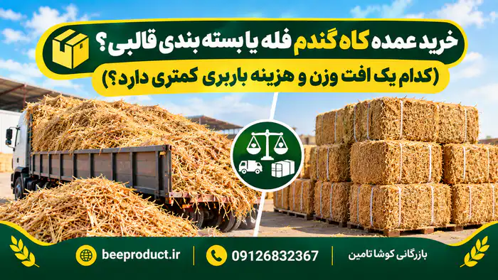 کاه گندم