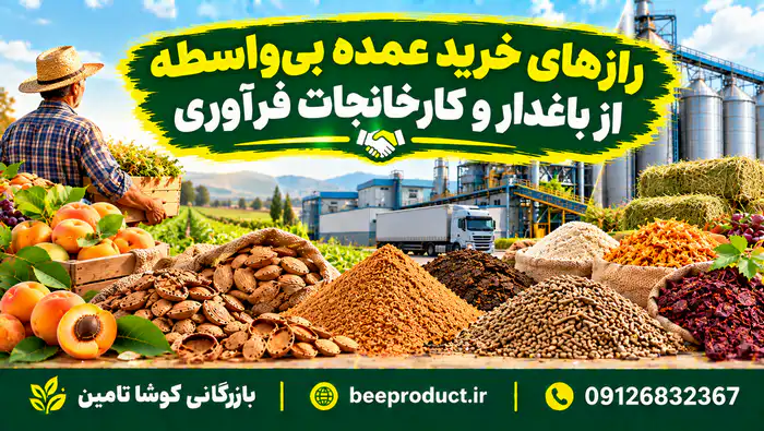 هسته زردآلو