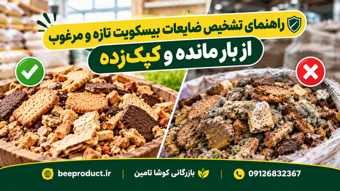 ضایعات بیسکوییت