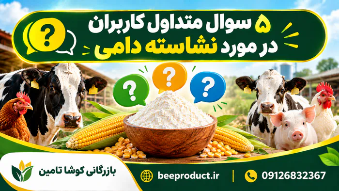 نشاسته دامی