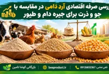 آرد دامی