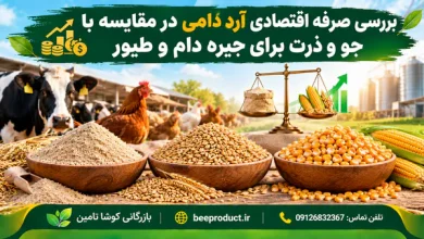 آرد دامی