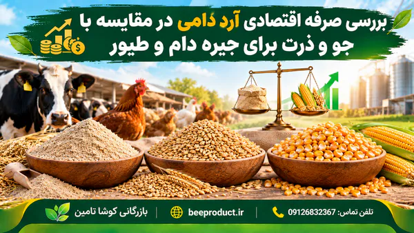 آرد دامی