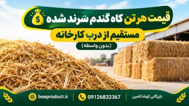 کاه گندم