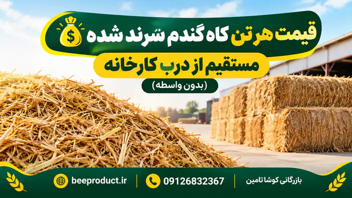 کاه گندم