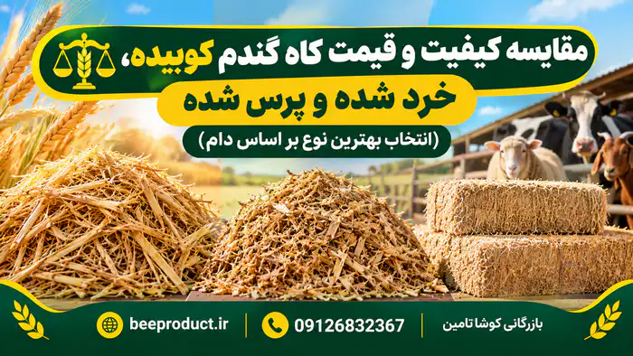 کاه گندم