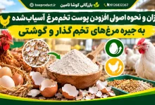 خرید پوست تخم مرغ