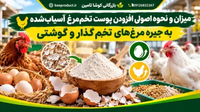 خرید پوست تخم مرغ