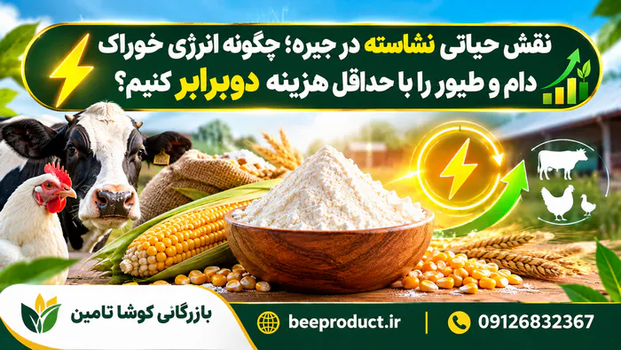 نشاسته دامی