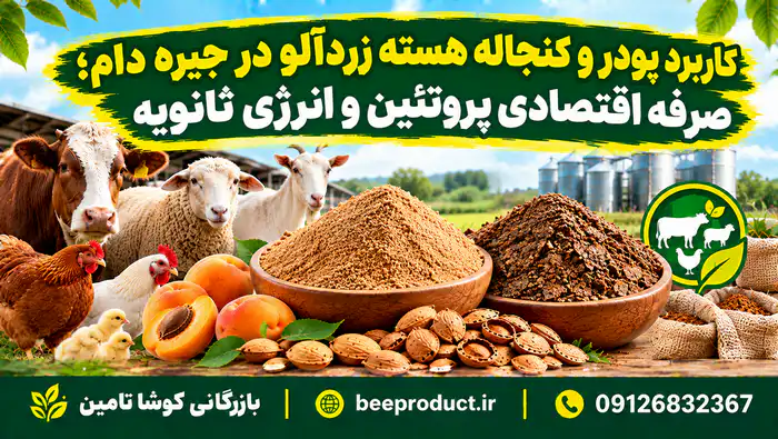 هسته زردآلو